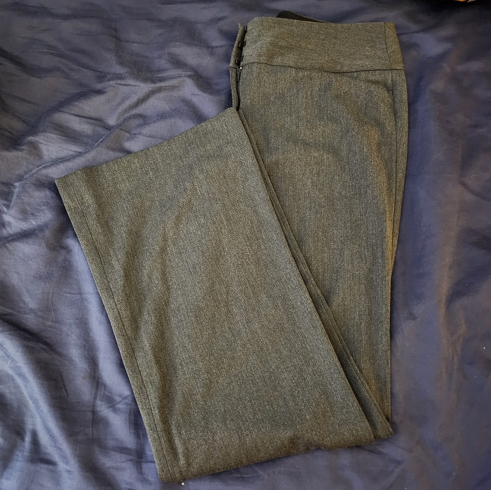 Express Flare Leg Business Slacks